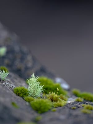 Being an “imposter” in the photography world post image
