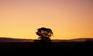 Nature's mystery: silhouettes post image