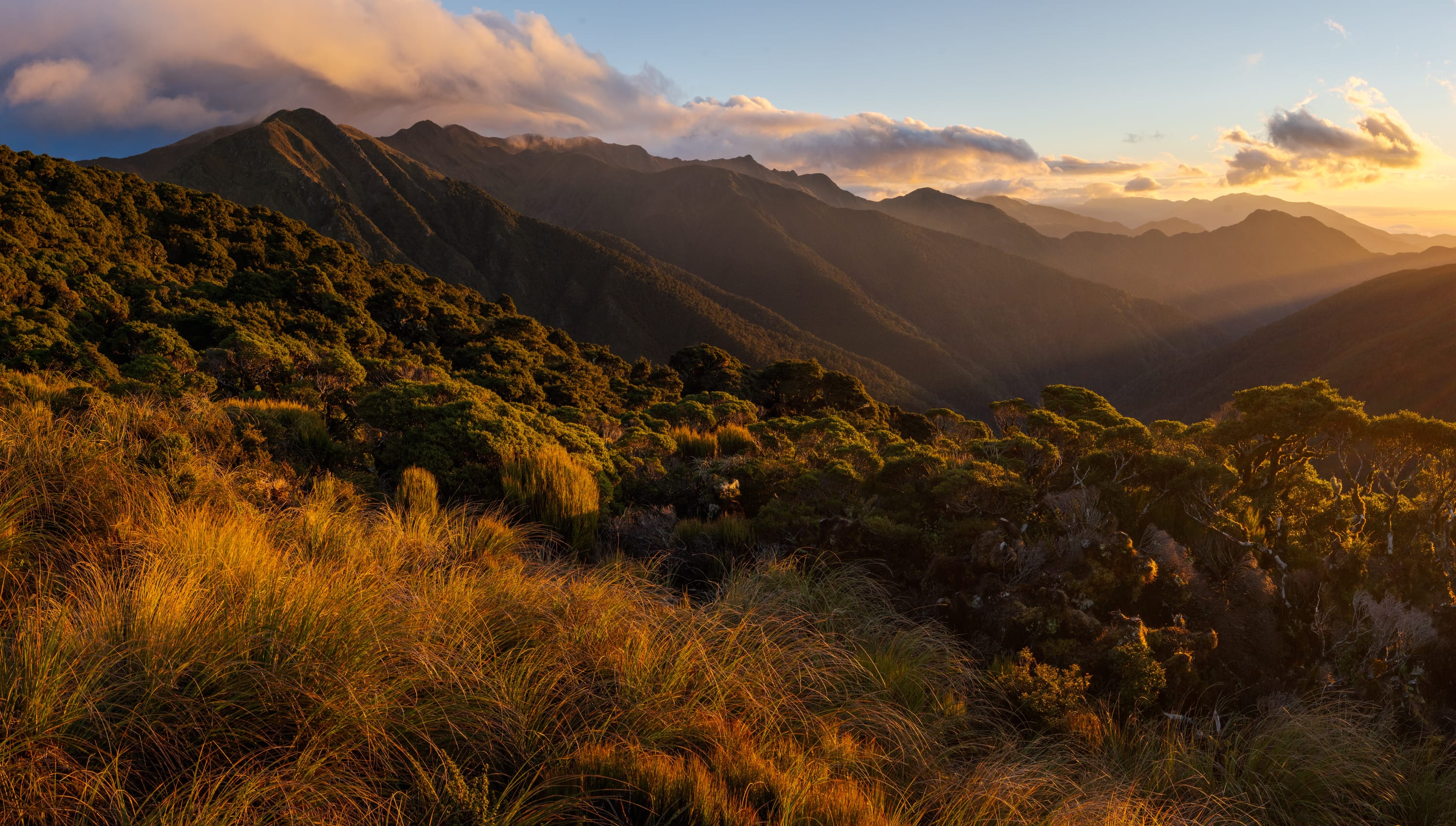 Honouring Shaun Barnett: wisdom and legacy of a master nature photographer